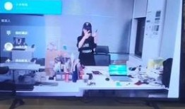 雷军爆料汽车视频大全,汽车视频大全，科技巨头跨界布局新篇章”